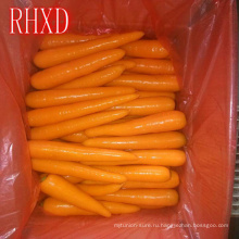 Поставляем Хорошее Качество Китайский Морковь На Ферме Свежей Моркови